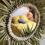 Bonaty Holiday home Soulge-sur-Ouette